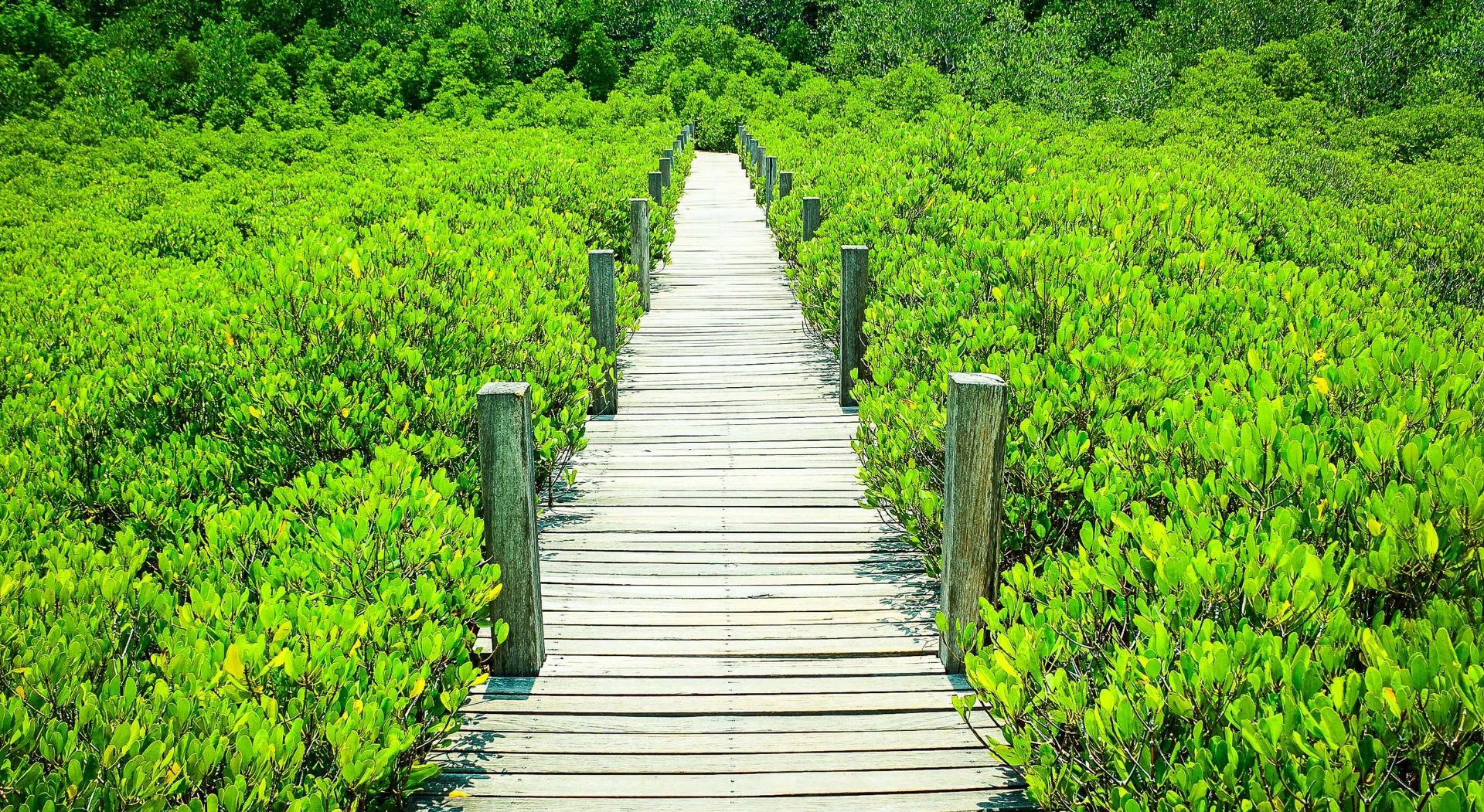 Honeymooning in Thailand