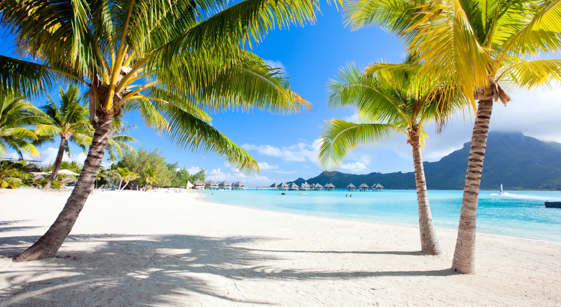 The Best Things to do in French Polynesia