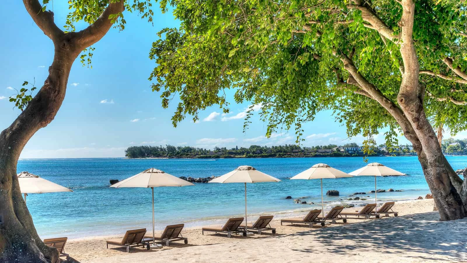 The Westin Turtle Bay Resort