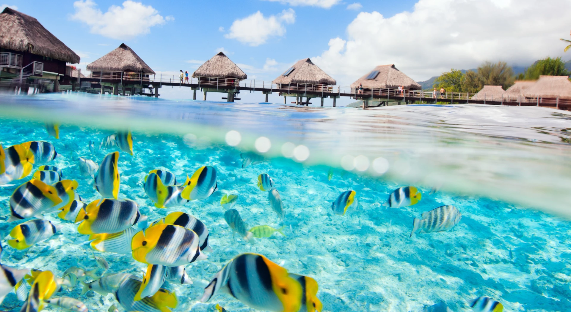 Watersports in French Polynesia