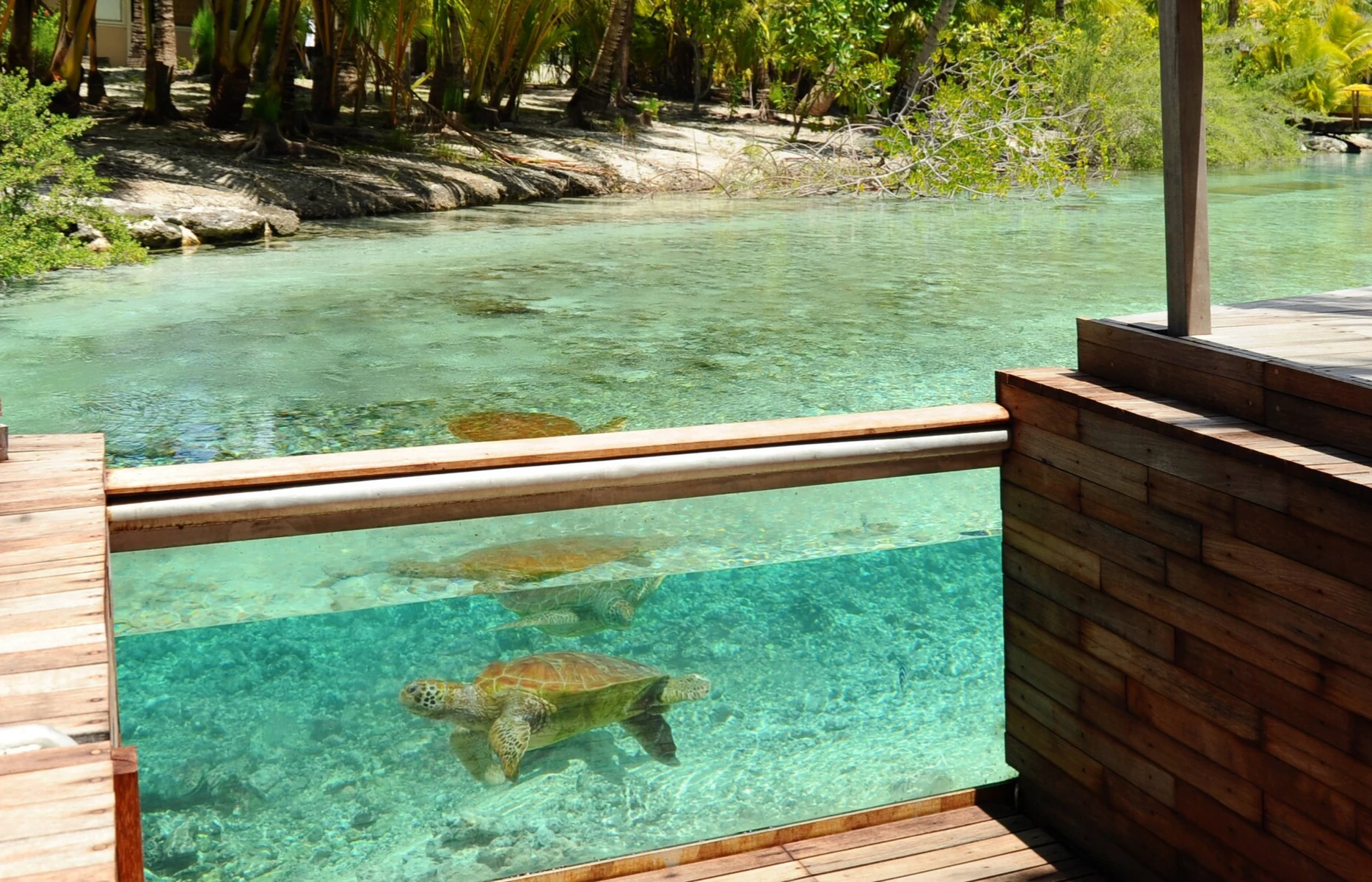 The Westin Bora Bora