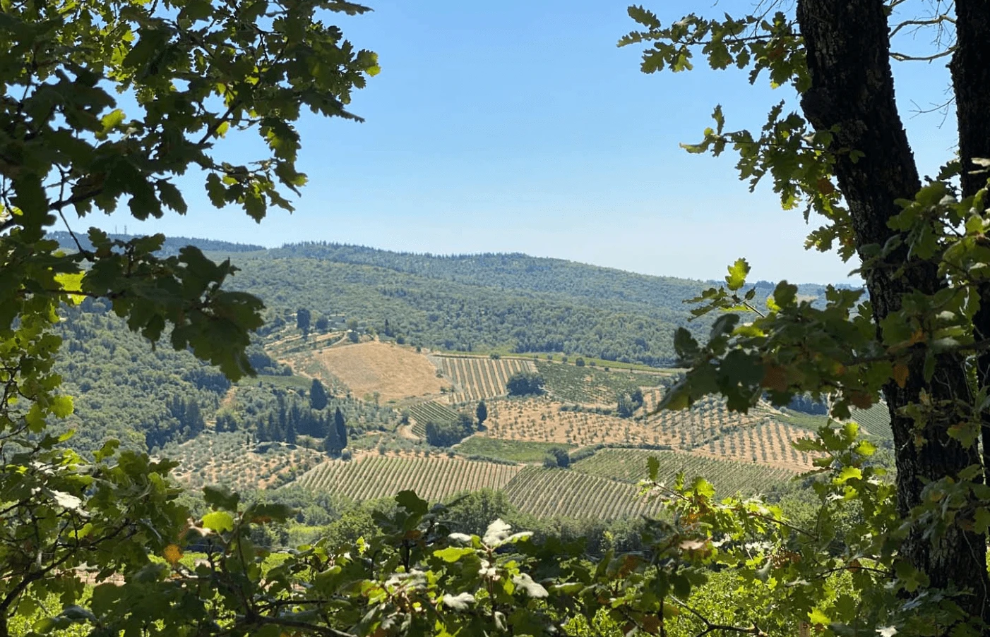 Villa Ardore